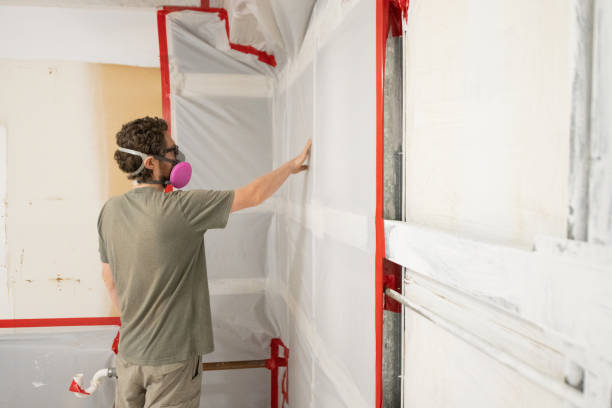 Best HVAC Mold Inspection and Cleaning  in Taylorsville, UT